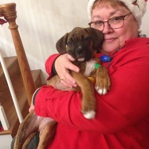 Meet your Posher, Michele